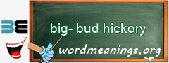 WordMeaning blackboard for big-bud hickory
